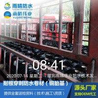 耐根穿刺防水卷材（銅胎基）