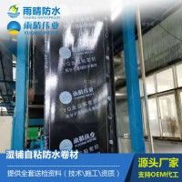 預鋪/濕鋪自粘防水卷材 瀝青基聚酯胎自粘層